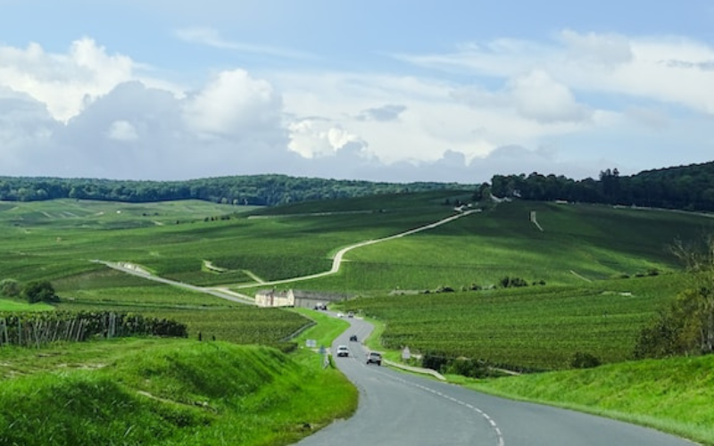 Visit the Champagne wine region